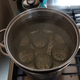 Illustration for article titled The Basics of Home Canning and Pickling